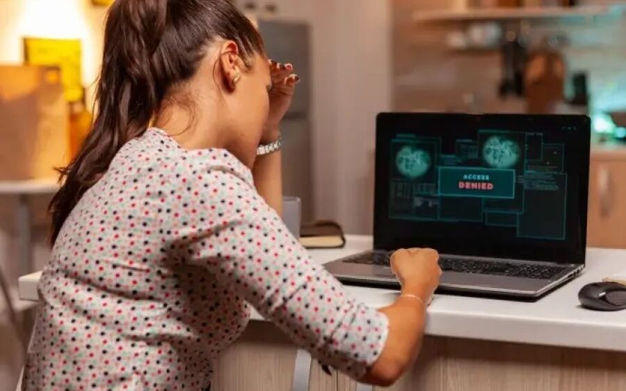 Golpes digitais: cinco  dicas para o empreendedor não cair em fraudes