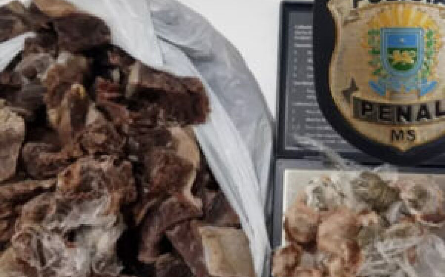 Irmã é presa ao levar droga em pacote com carne seca para detento em MS