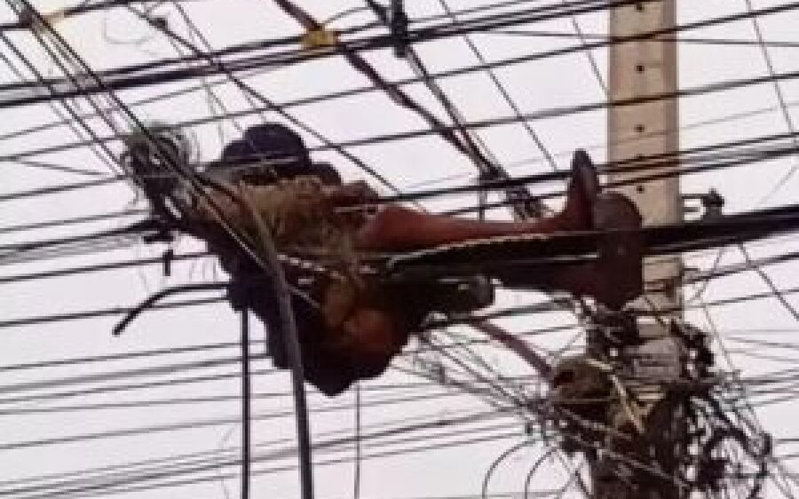 Ladrão é achado deitado em fios e moradores acionam a polícia 