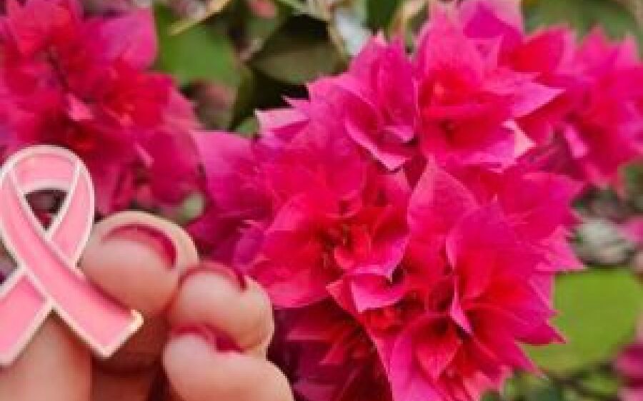 Outubro Rosa: ALEMS fortalece atenção à saúde das mulheres
