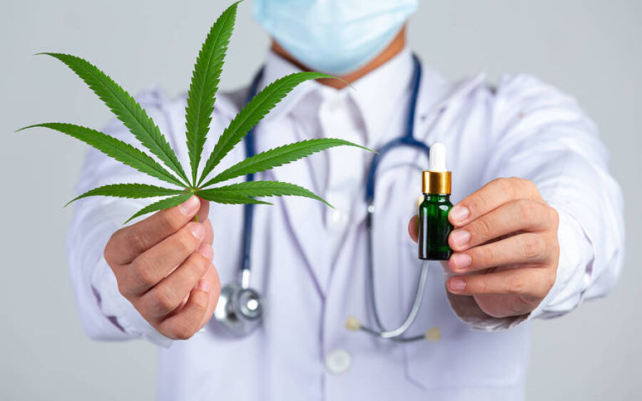Tratamento de doenças com medicamentos que contenham Cannabis é regularizado em MS