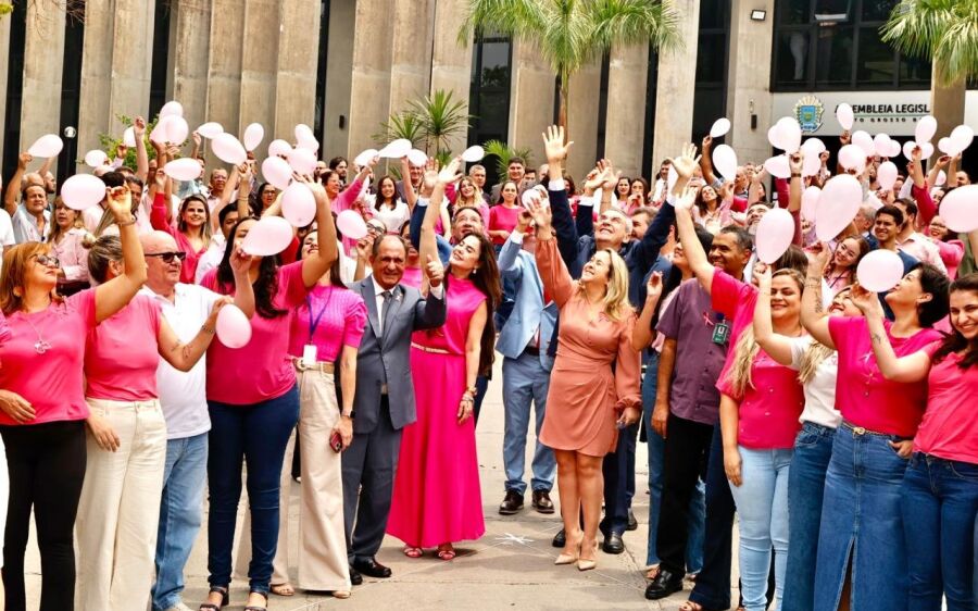 ALEMS abraça Campanha do Outubro Rosa e arrecada kits de beleza
