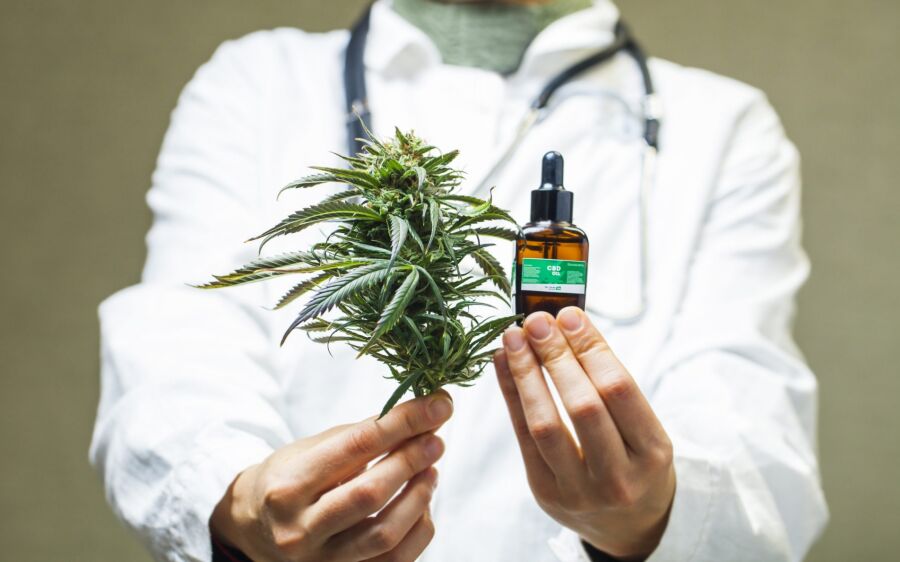 Tratamento de doenças com medicamentos que contenham Cannabis é regularizado em MS