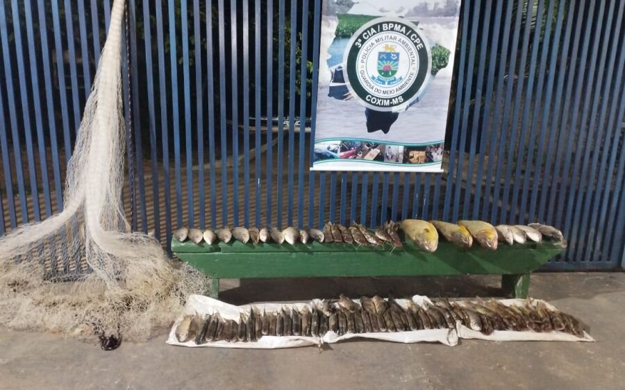 Polícia Militar Ambiental de Coxim prende em flagrante empresário Coxinense por pesca predatória