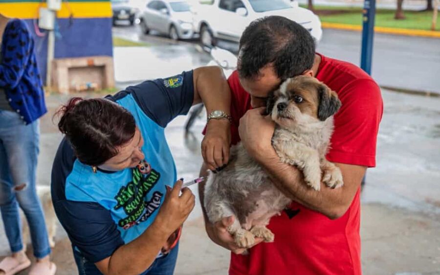 Prefeitura de São Gabriel do Oeste realiza repescagem de vacinação antirrábica no sábado