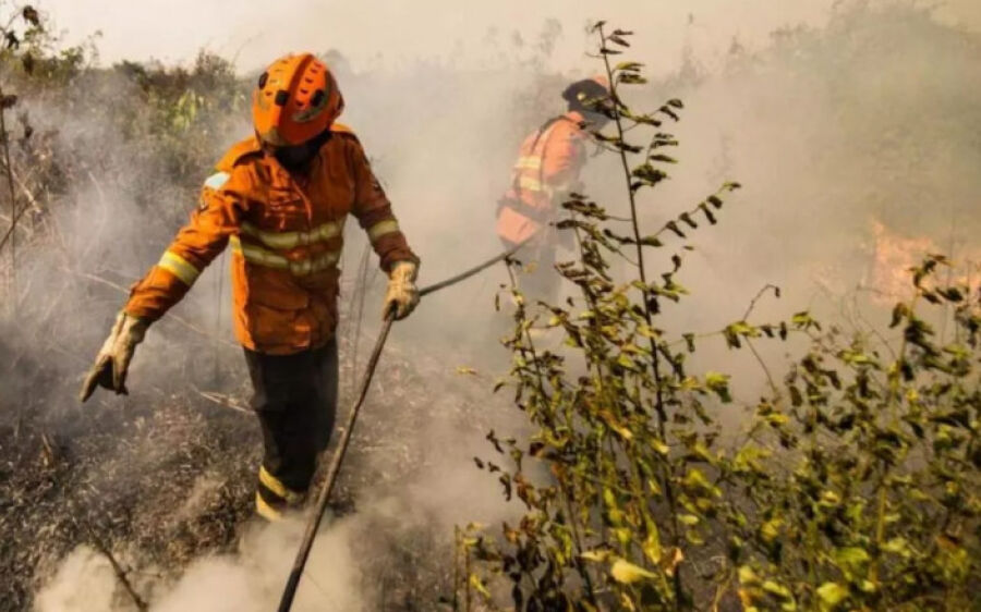 Dia do Pantanal: Reconstrução do bioma passa por punição de quem ateou ou se aproveitou de incêndios