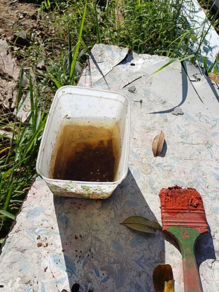 Recipiente repleto de larvas do mosquito